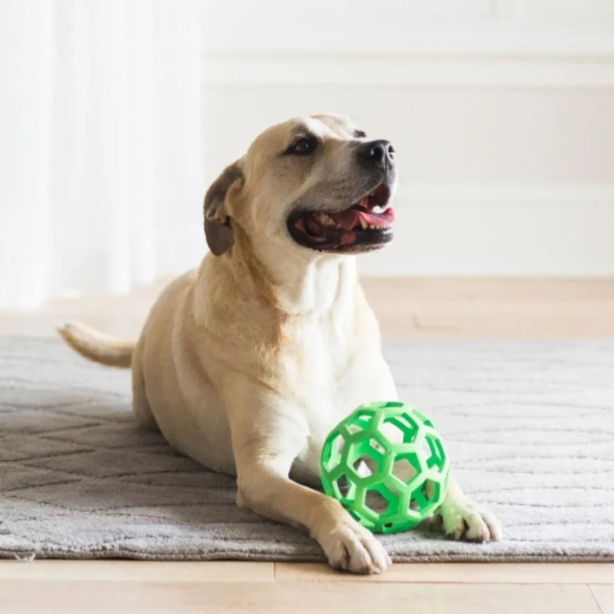 JW Pets Hol-ee Roller Ball