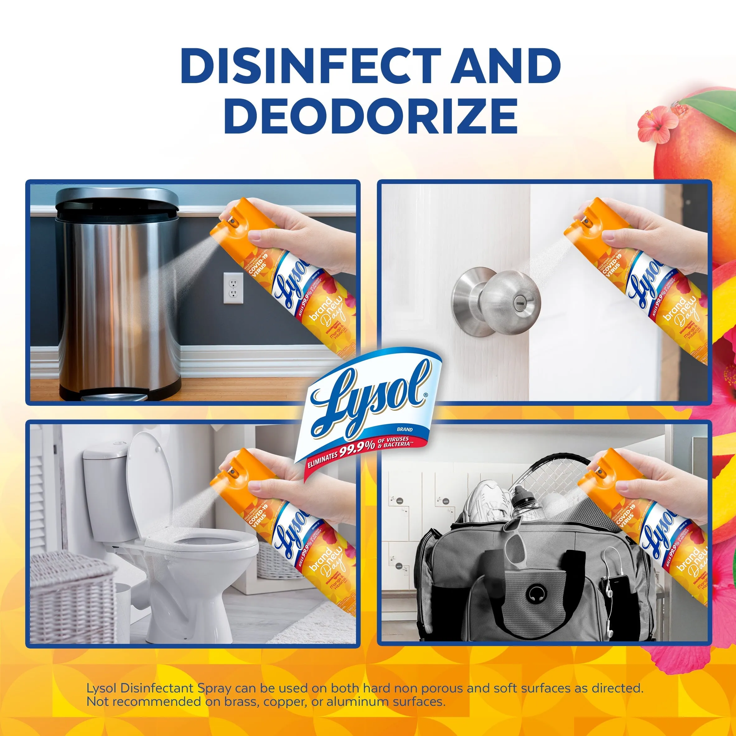 Lysol Disinfectant Spray, Sanitizing and Antibacterial Spray, For Disinfecting and Deodorizing, Brand New Day - Mango & Hibiscus, 19 fl oz each