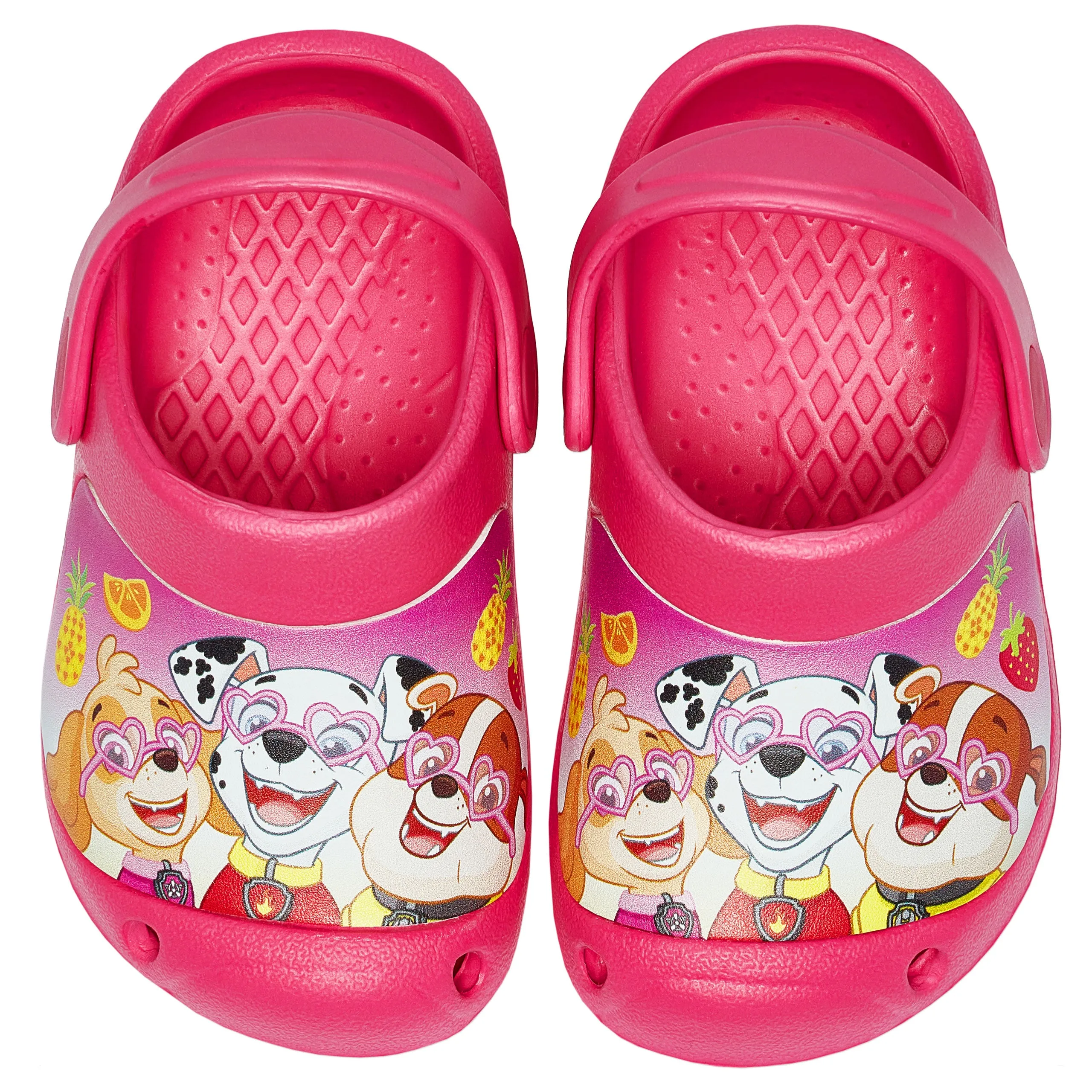 PAW Patrol Skye Clogs