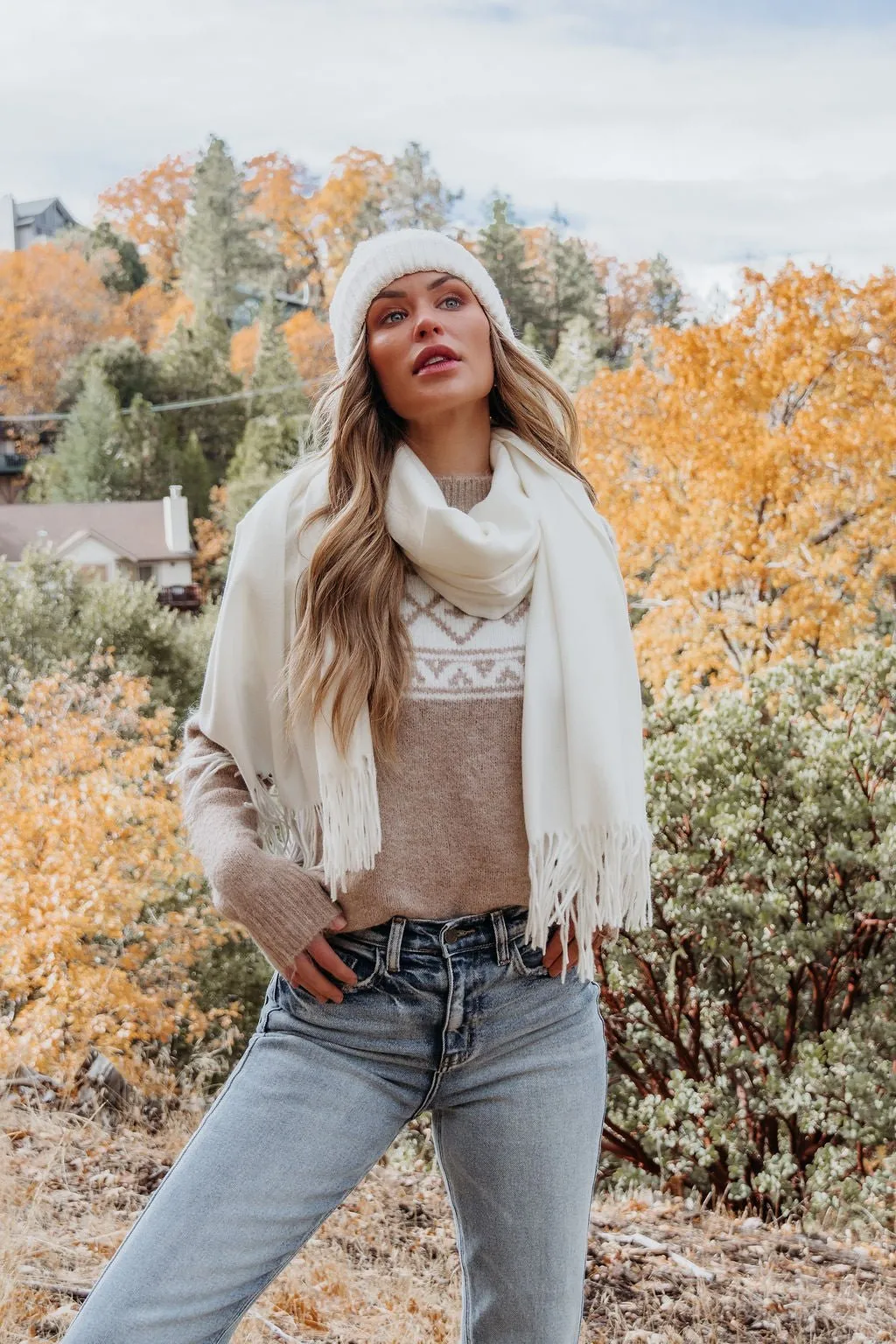 Taupe Aztec Print Mock Neck Sweater